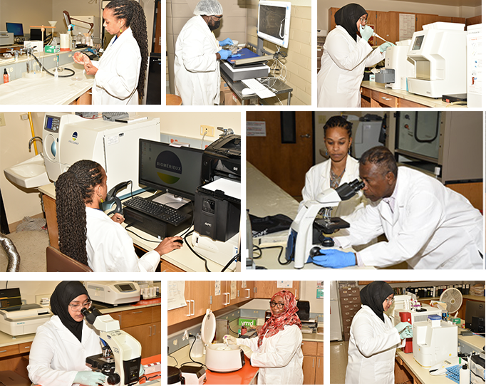 Vet Diagnostic Lab
