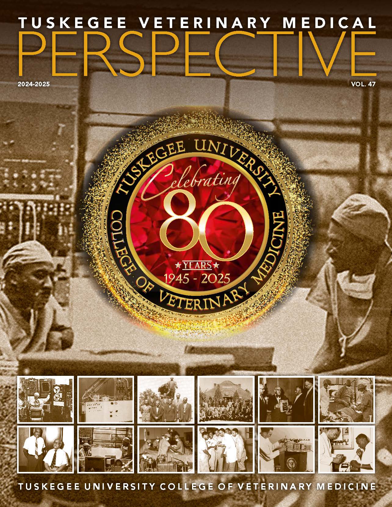 CVM-Perspective Magazine2025