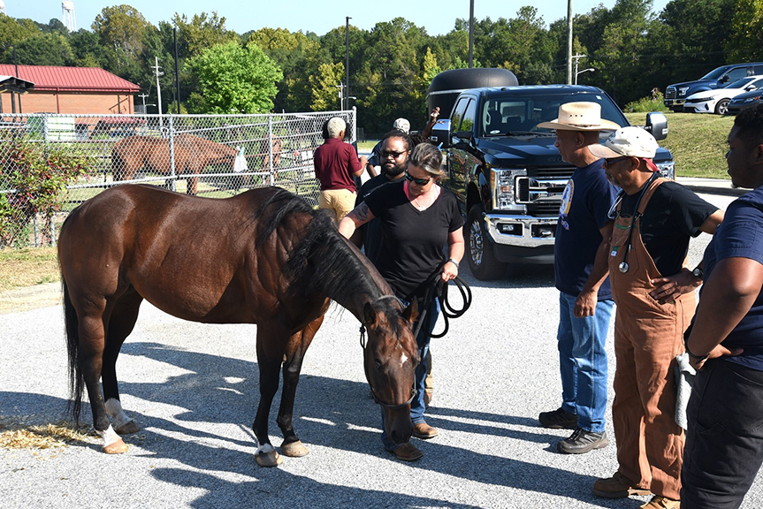 Large Animal Hospital