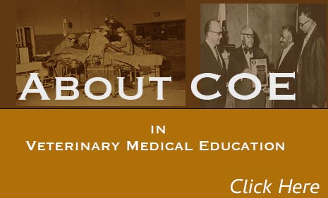 About COE