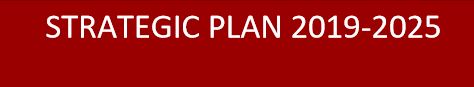 DGPH Strategic Plan 2020