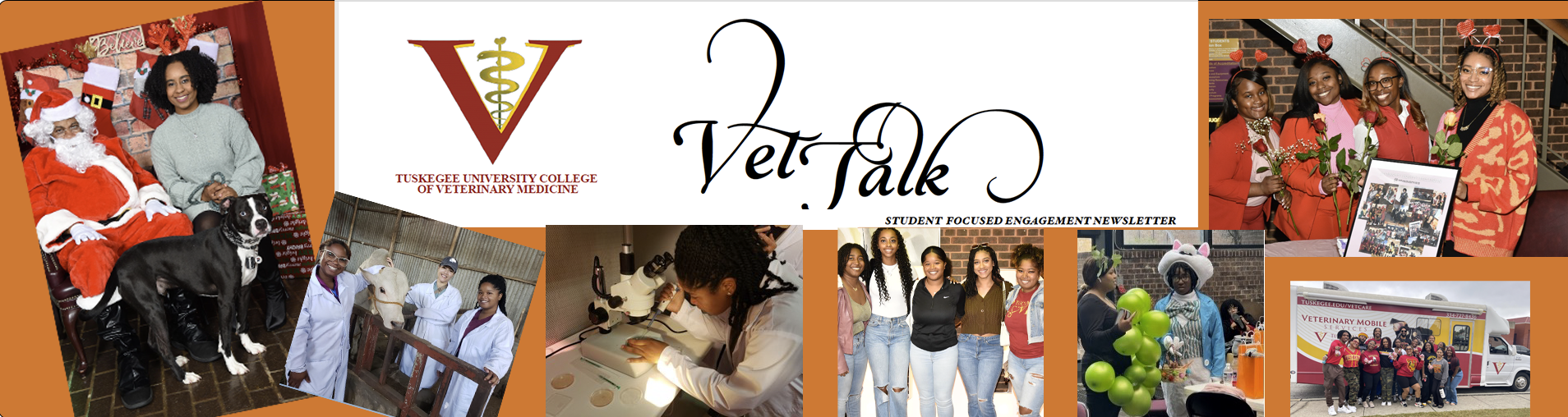 CVM-Newsletter