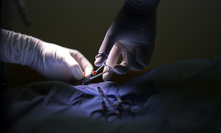 vet biopsy