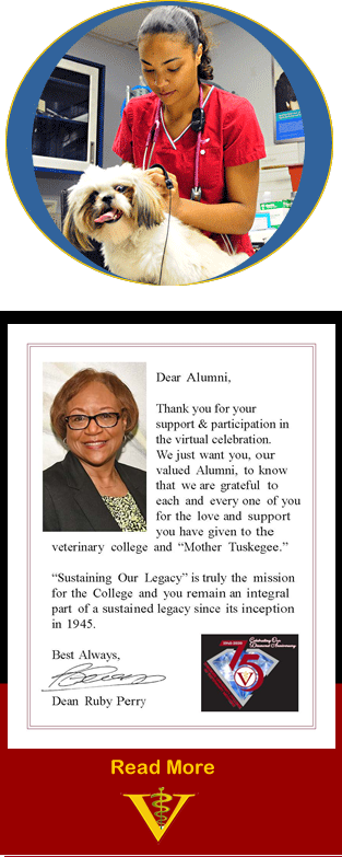 nearest vet to my current location