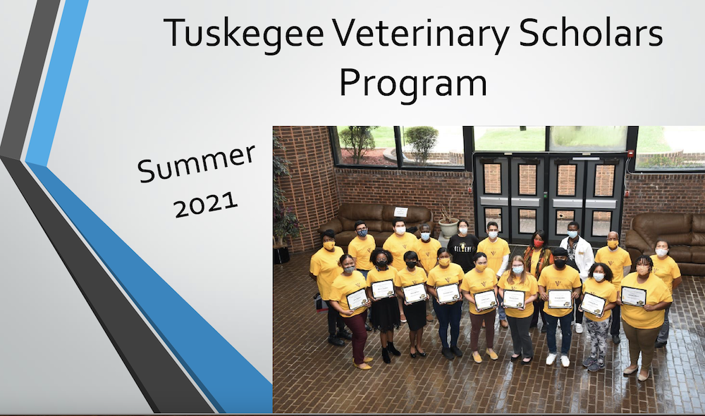 cvmTuskegee Veterinary Summer Virtual 2021 Scholars Program (TVSP