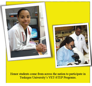 Summer Programs At Cvm Tuskegee University