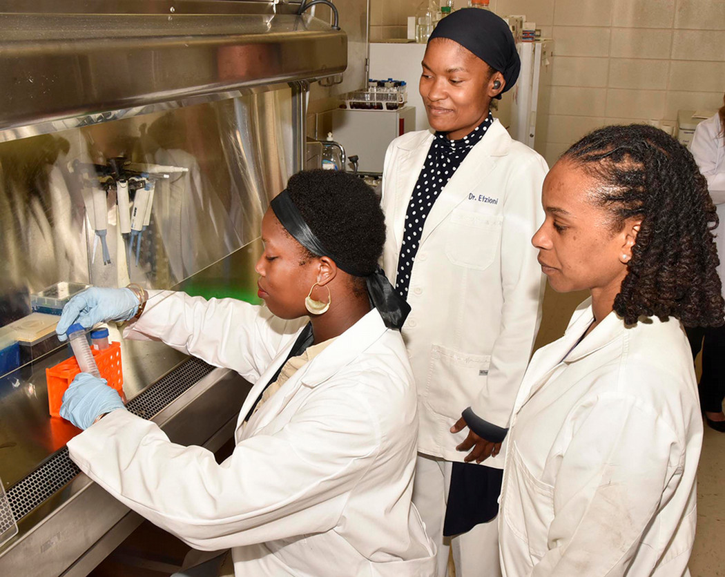 Vet students work in lab