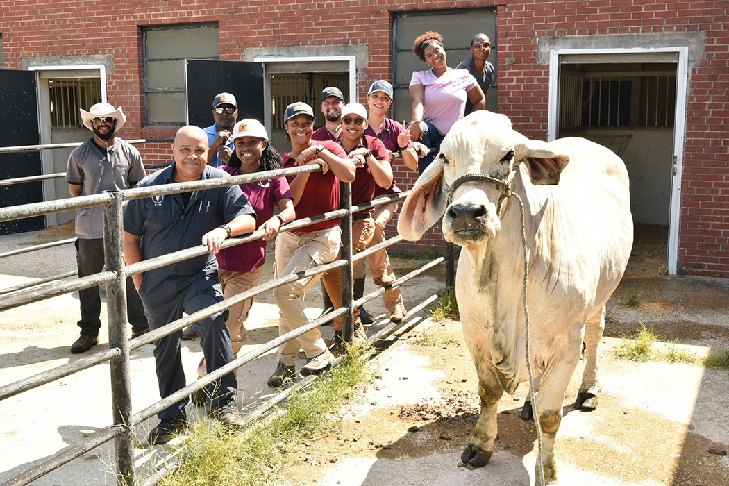 Vet students pose for picture with cow