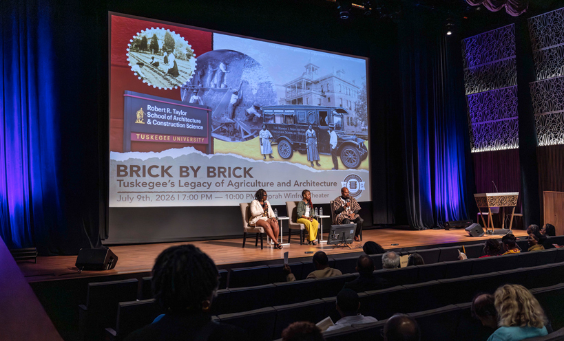 Brick by Brick Panel