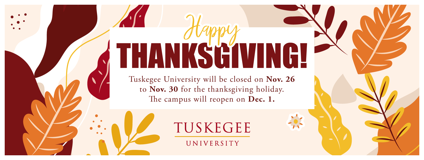 Happy Thanksgiving graphic