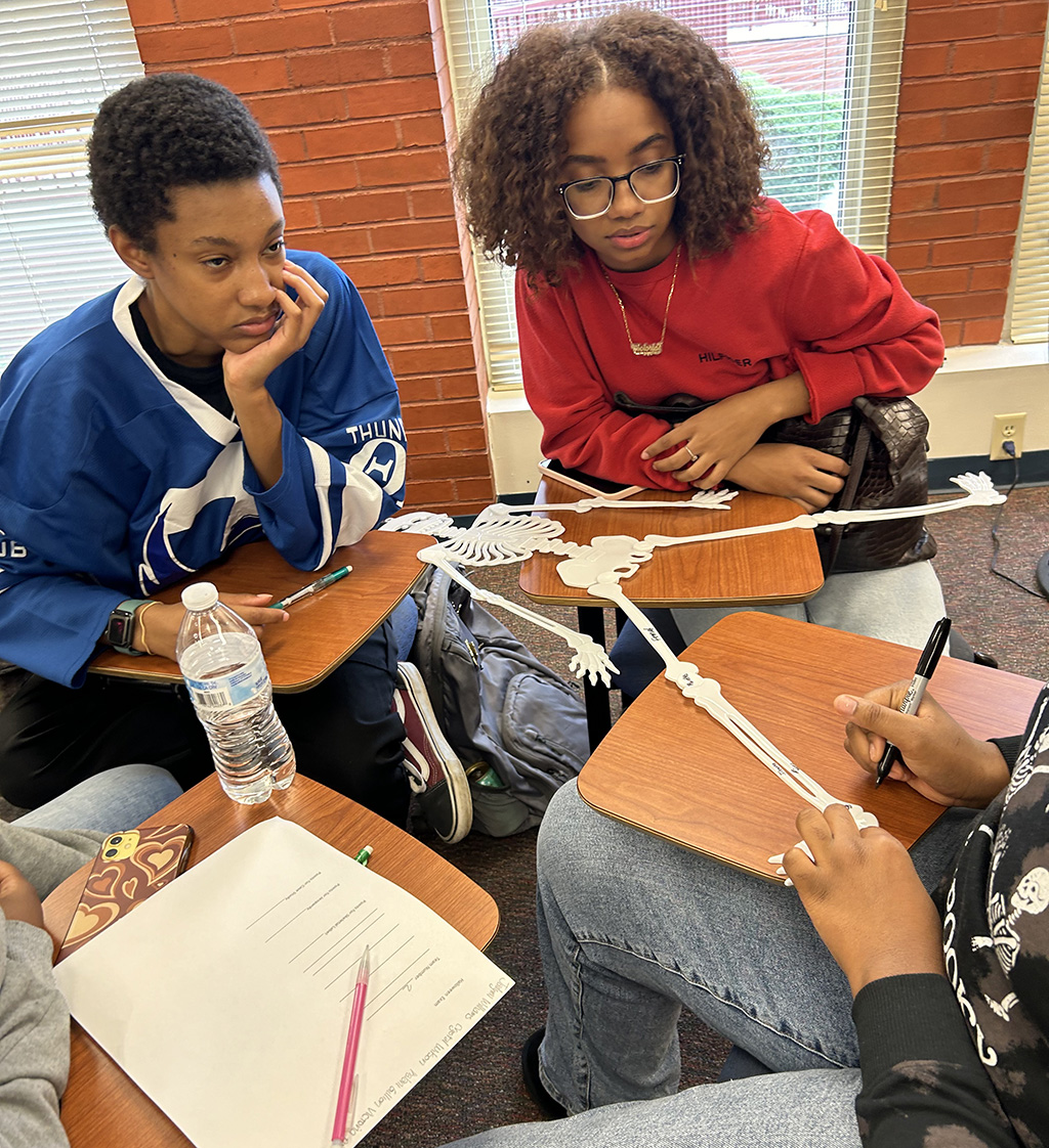 Students labeling a skeleton in Health Science class.