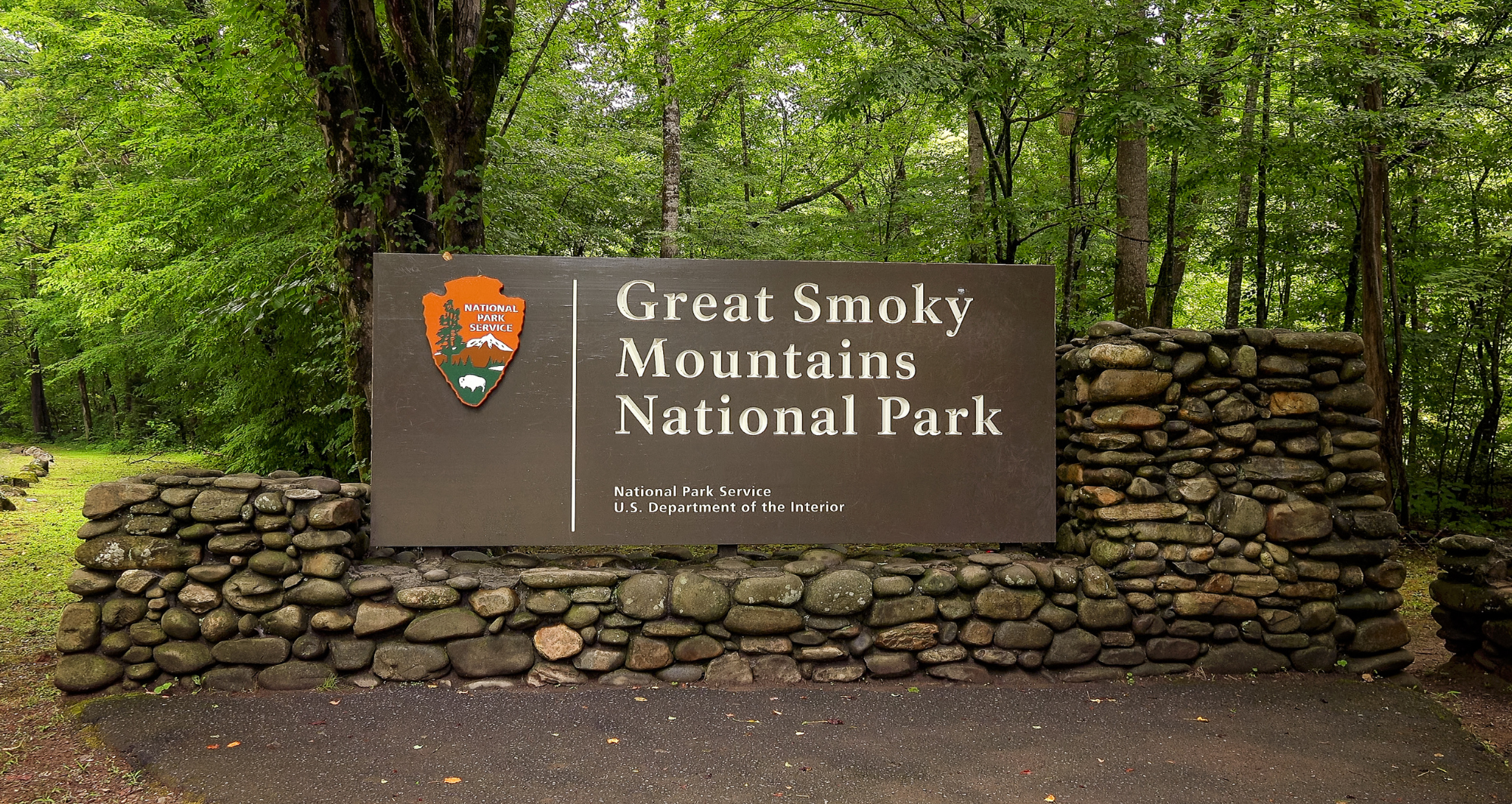 NPS Experience