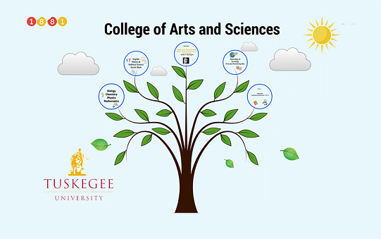 Graphic for the CAS video