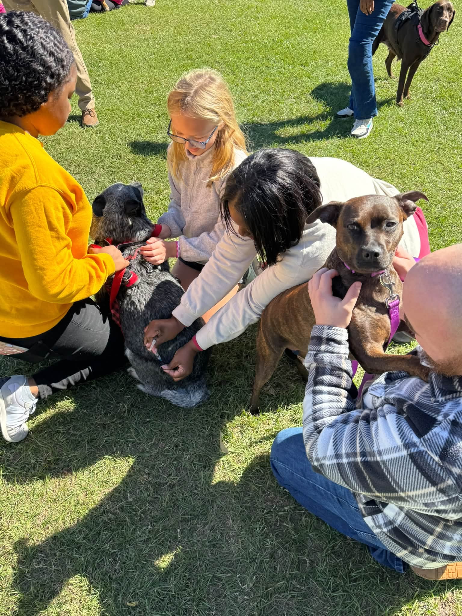 Drive Thru Vaccination Clinic Pic 8