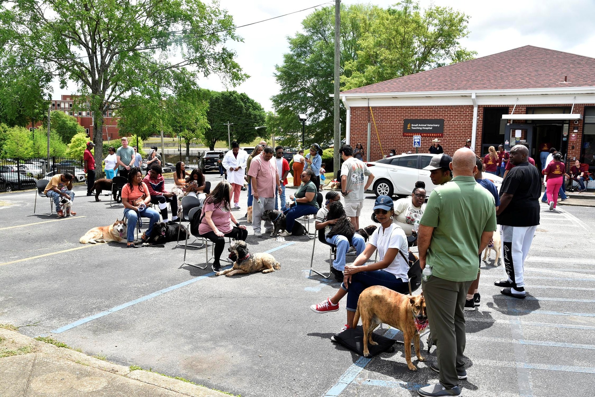 Small Animal Health Fair photo4-2026
