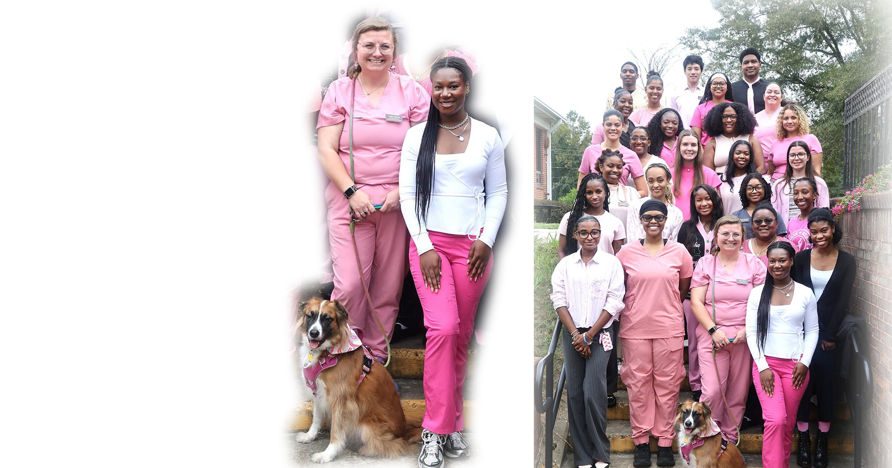 Class of 2030 for their acknowledgment of Breast Cancer Awareness Month 