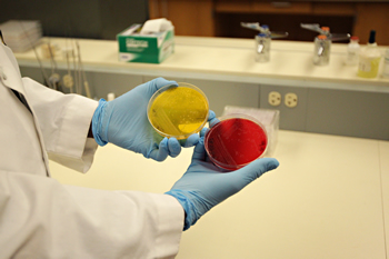 pathobiology