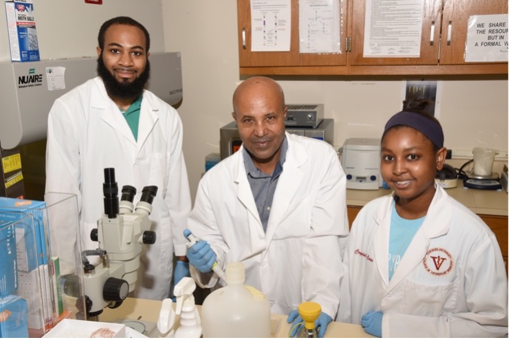 Summer Research Scholars-2