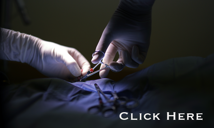 vet biopsy