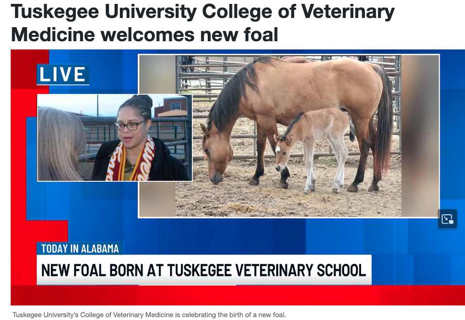 Tuskegee University’s College of Veterinary Medicine was featured early Wednesday on WSFA’s Today in Alabama.