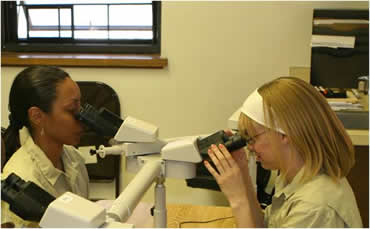 pathobiology 3