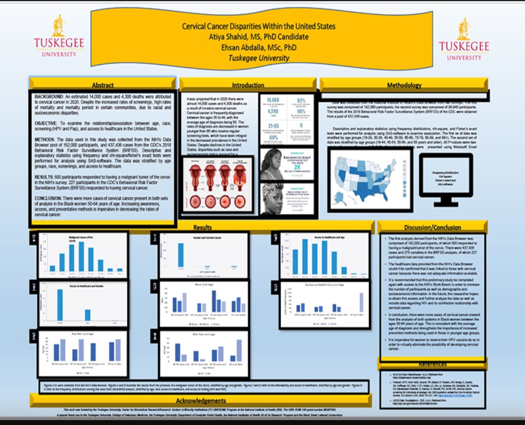 Atiya Shahid Research