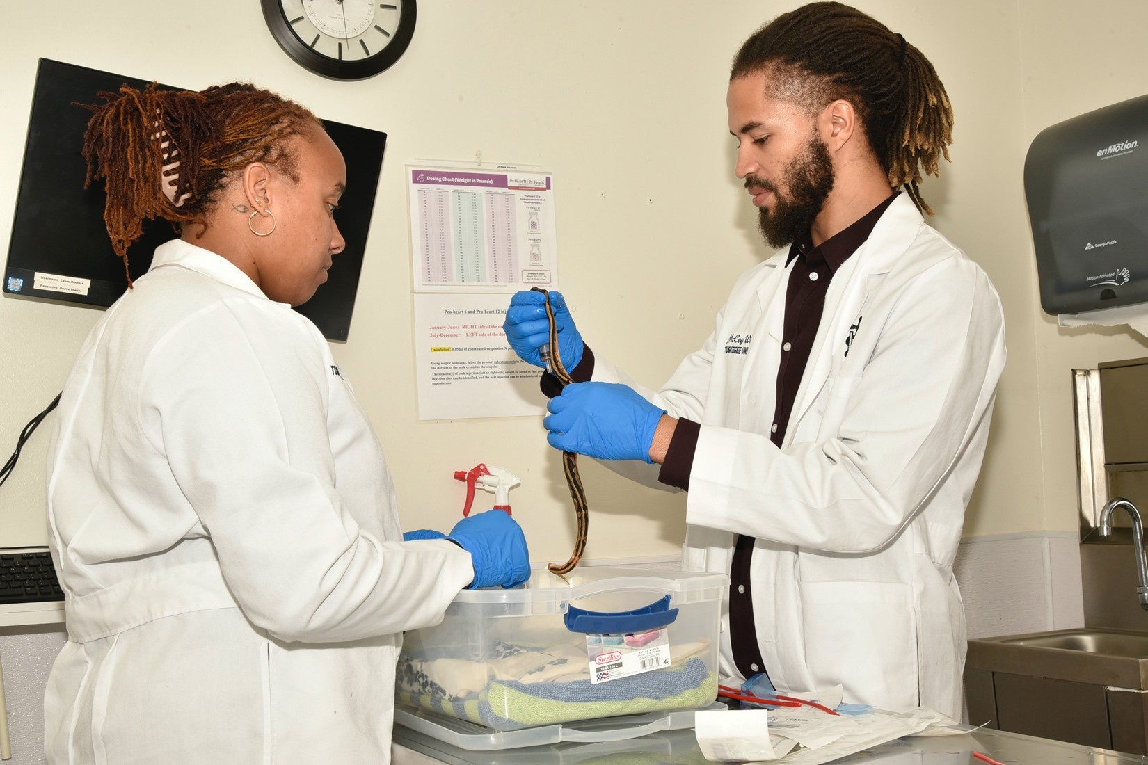 Snake examination
