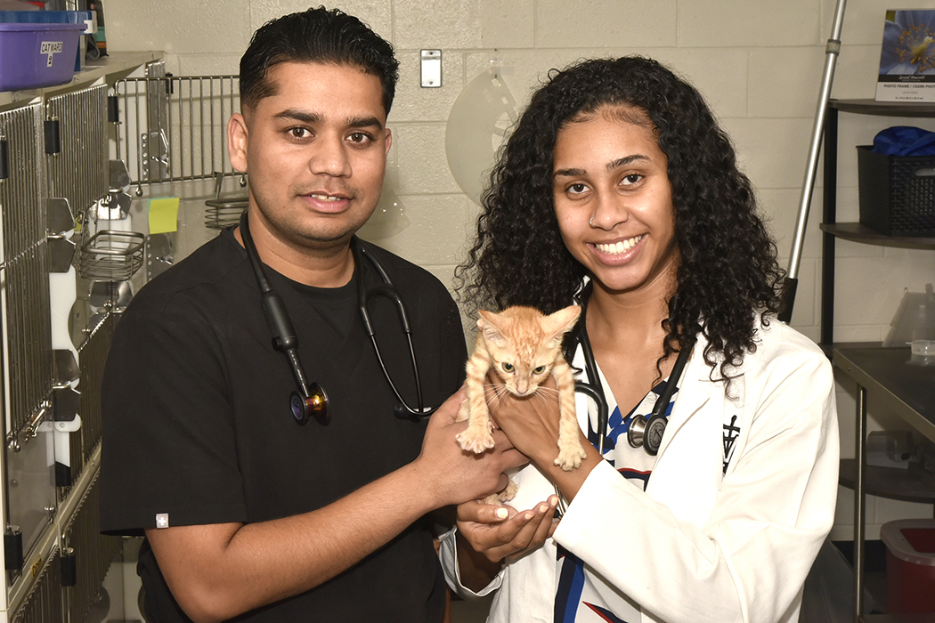 Vet students pose for picture with cat