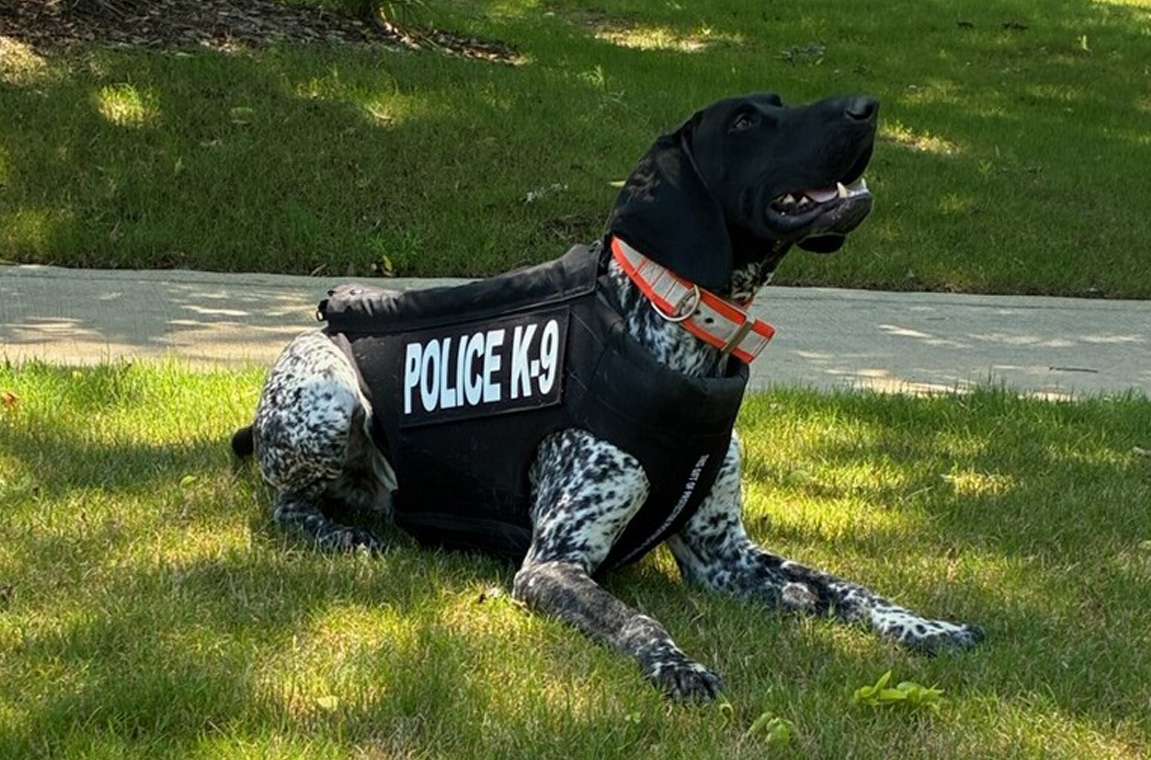 TU K9 Brendan