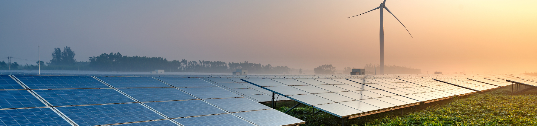 Solar panels and agriculture