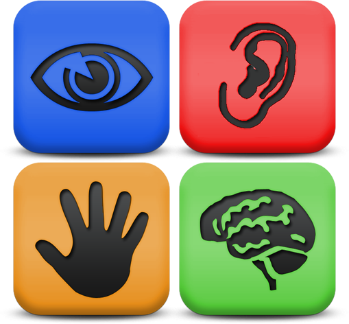 Accessibility image showing an eye, ear, hand, and brain